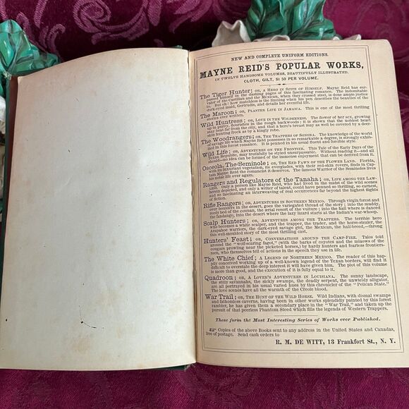 1865 The Tiger-Hunter; or, A Hero in Spite of Himself by Capt. Mayne Reid - Picture 3 of 10